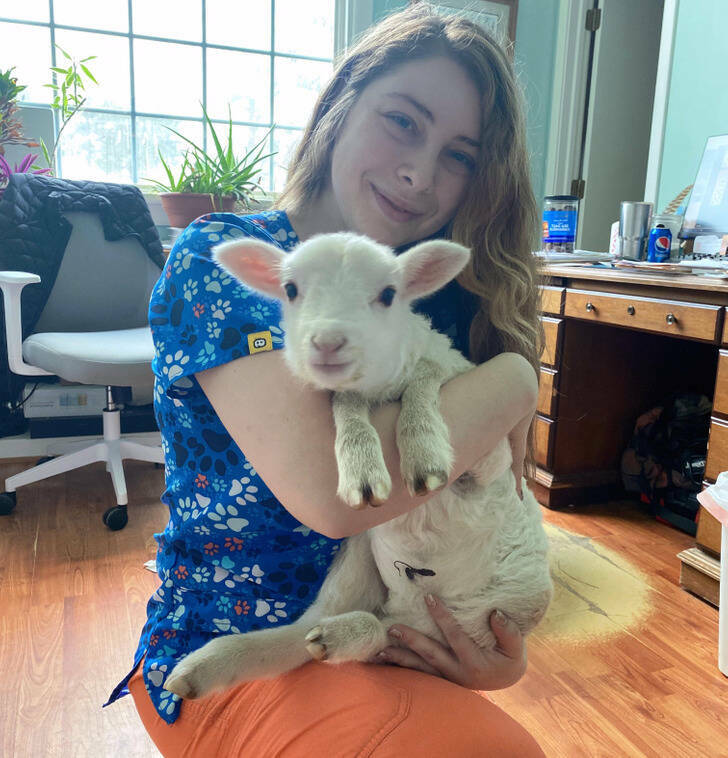 Wholesomeness Overwhelming!