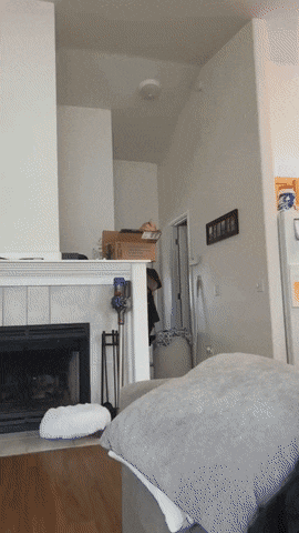 Daily Gifdump