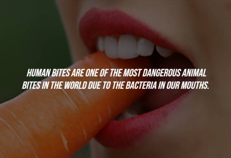These Facts Are Really Random…