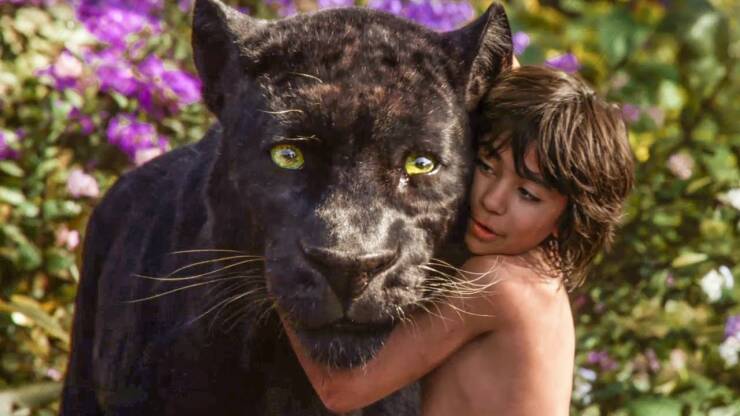 Best Movie Remakes That Actually Lived Up To The Originals