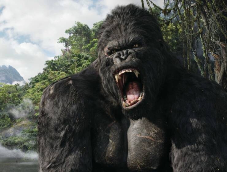 Best Movie Remakes That Actually Lived Up To The Originals