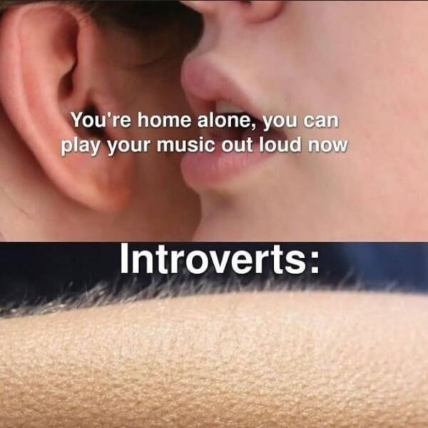 These Introvert Memes Are Extrovert-Free!