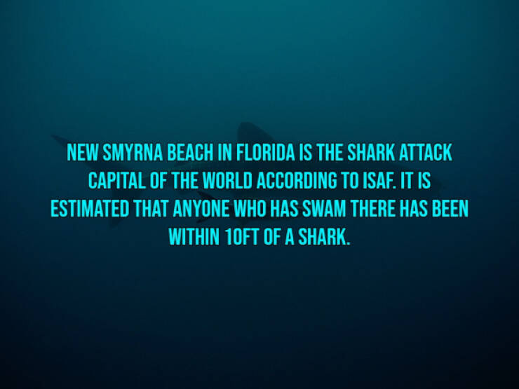 Bloody Facts About Shark Attacks