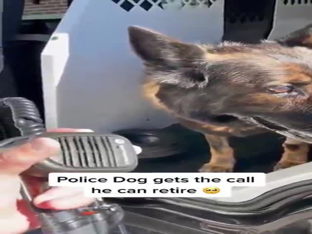 Police Dog’s Retirement