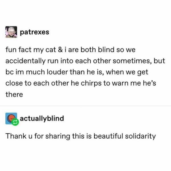 Wait, This Is Wholesome!