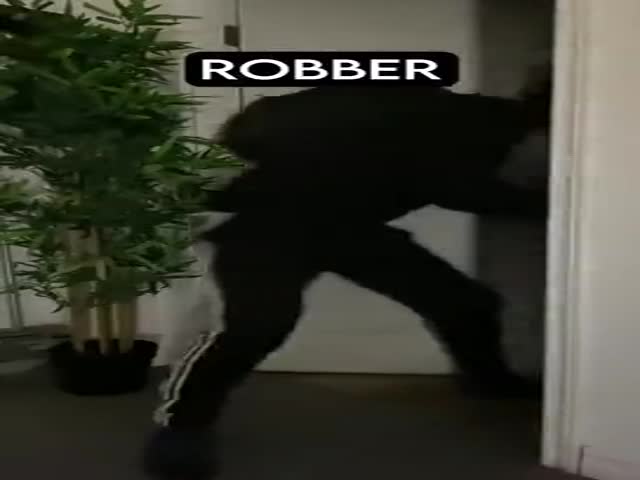 Dog Breeds Vs Robbers