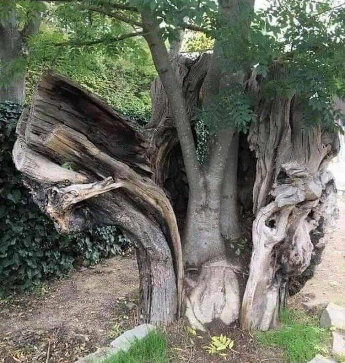 Nature Is Beautiful (And Sometimes Creepy)