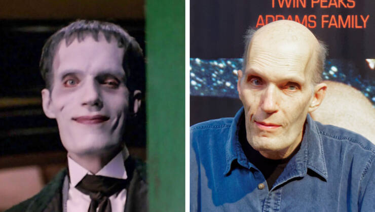 “The Addams Family” Cast: 31 Year Ago Vs These Days