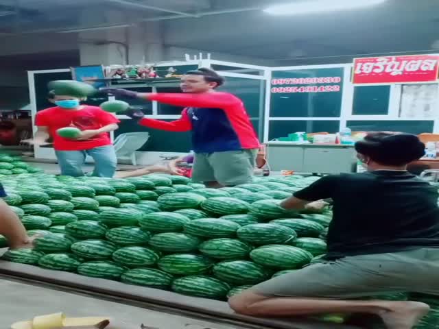 Watermelon Routing