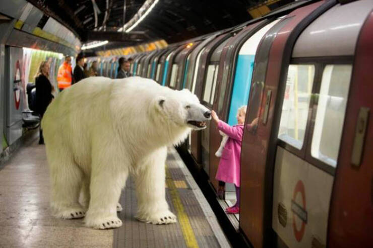 British Subways Are Wild…
