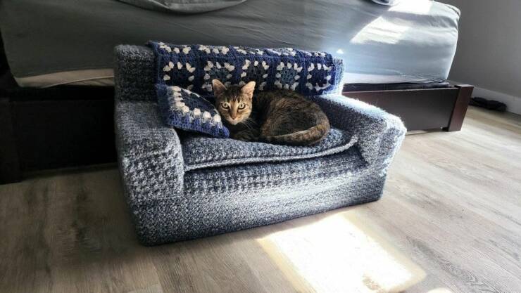 Daily Picdump