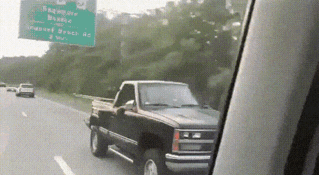 Daily Gifdump