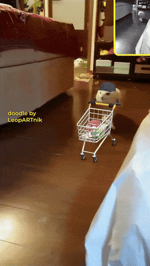 Daily Gifdump