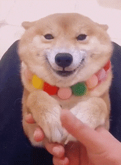 Daily Gifdump