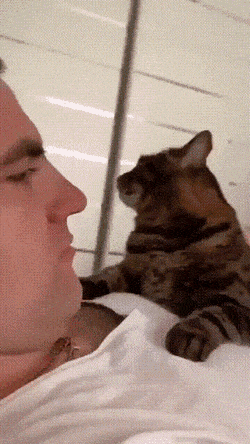 Daily Gifdump