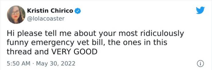 What Was Your Most Ridiculously Funny Emergency Vet Bill?
