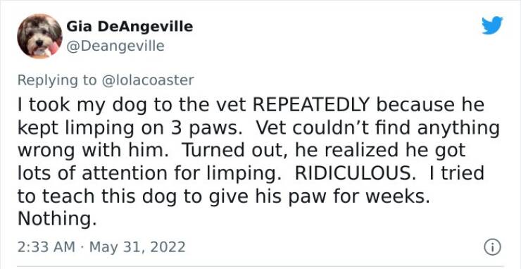 What Was Your Most Ridiculously Funny Emergency Vet Bill?