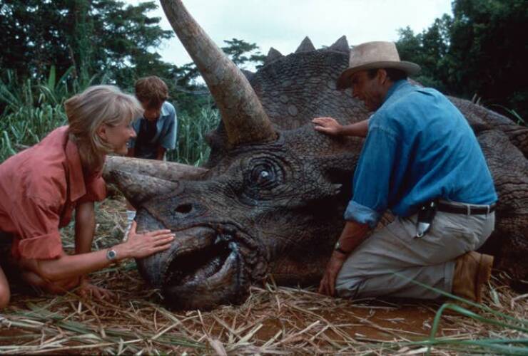 Remember The Little Girl From “Jurassic Park”? Here She Is Now At Age 42