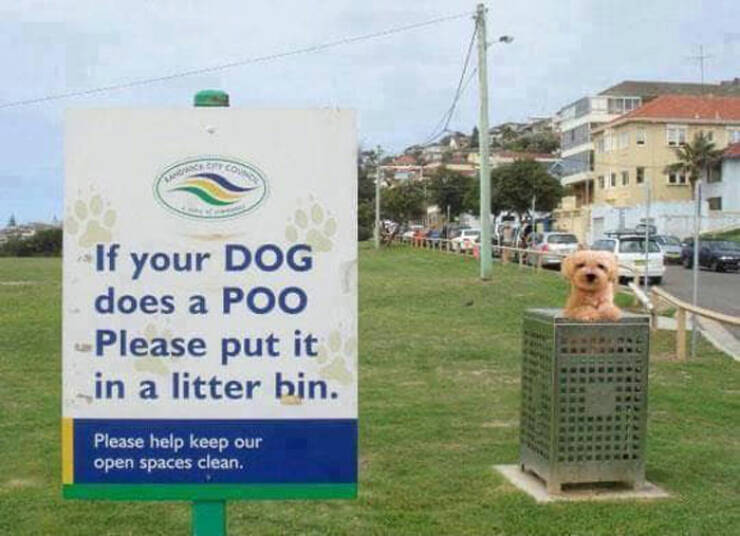 Looking For A Funny Sign? Then Look No Further!