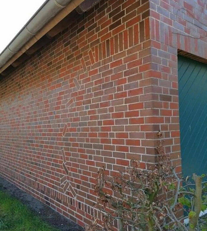 Should Have Hired An Architect…