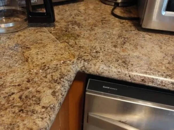 Accidental Camouflage Can Be Mind-Boggling