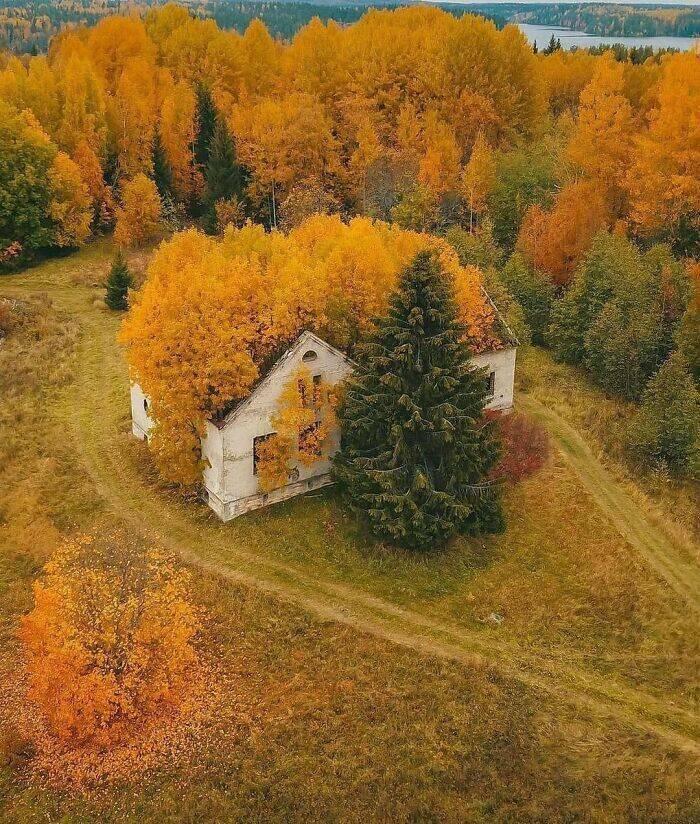 Abandoned Places Are Beautiful!