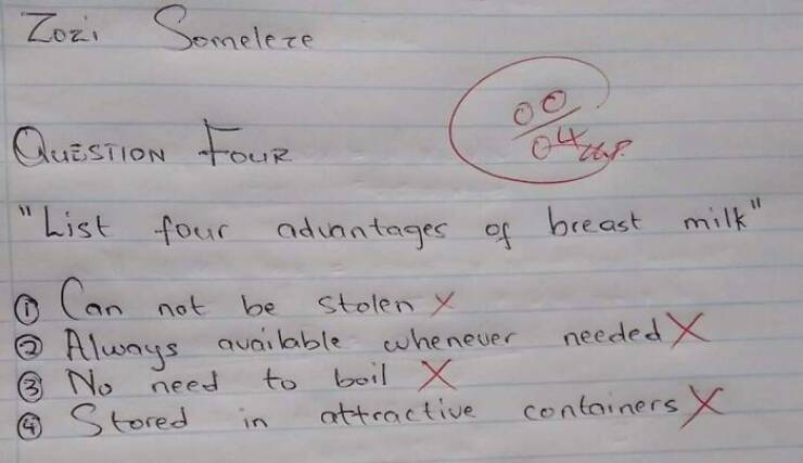They Understood The Assignment… Literally