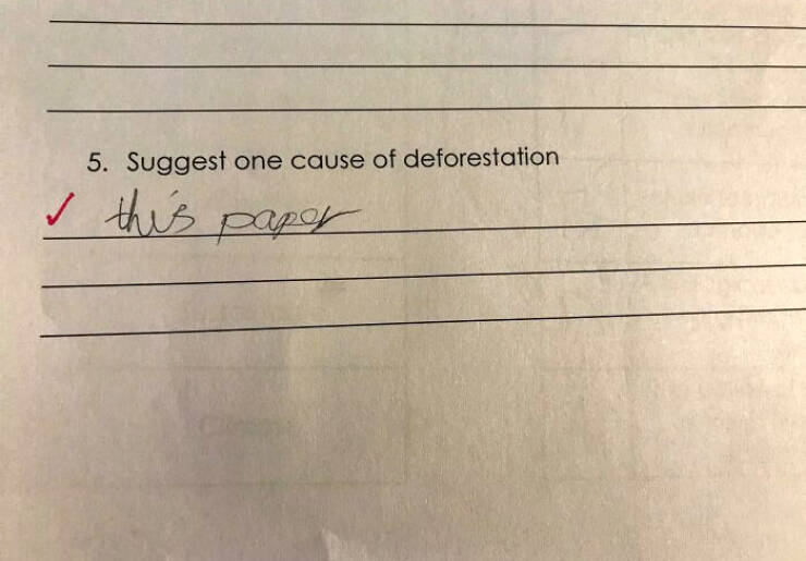 They Understood The Assignment… Literally