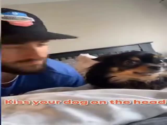 Kiss Your Dog