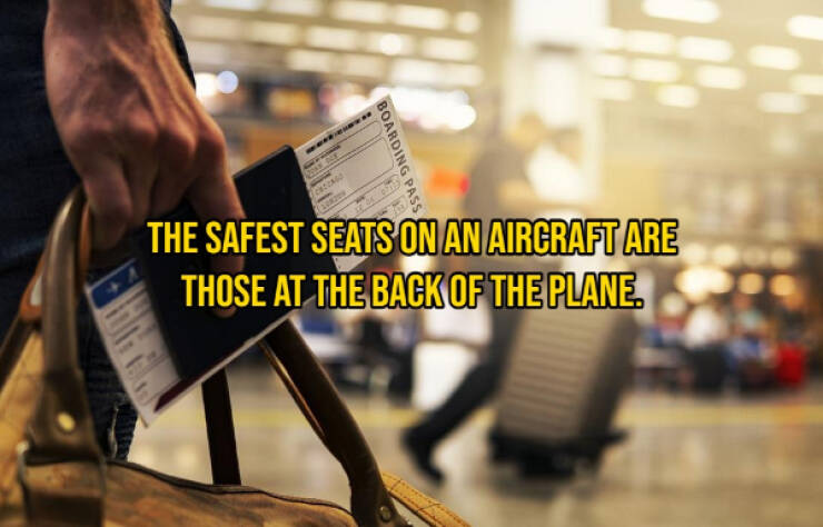 Get Ready To Board These Plane Facts
