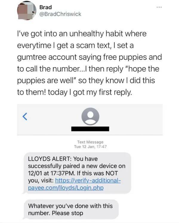 Scammers Getting A Fresh Dose Of Karma