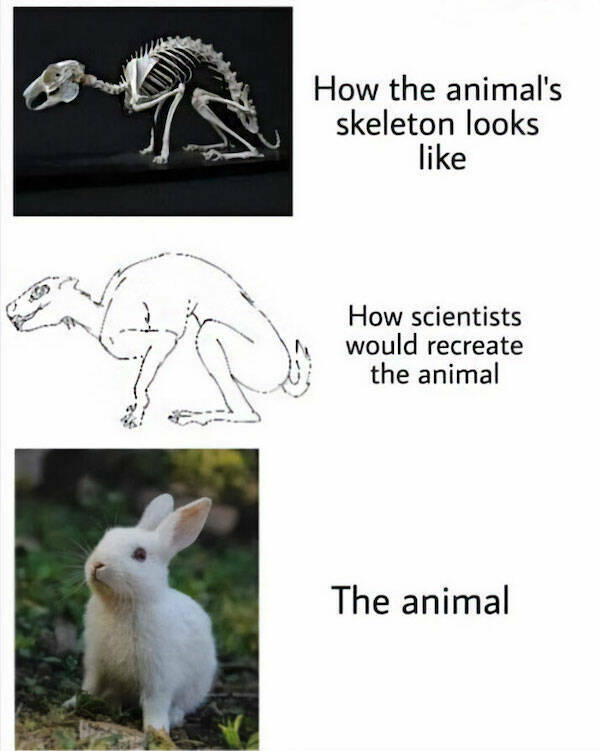 Science Memes For The Biggest Of Brains