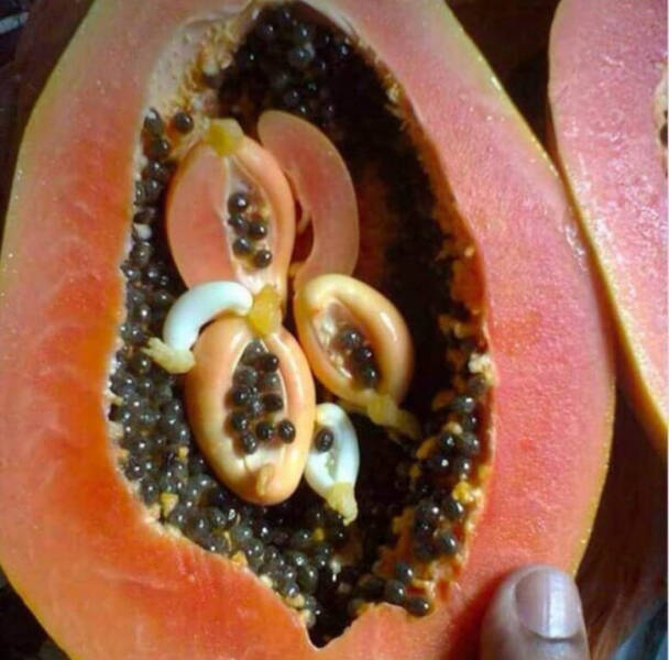 Nature Has So Many Surprises In Store For Us!