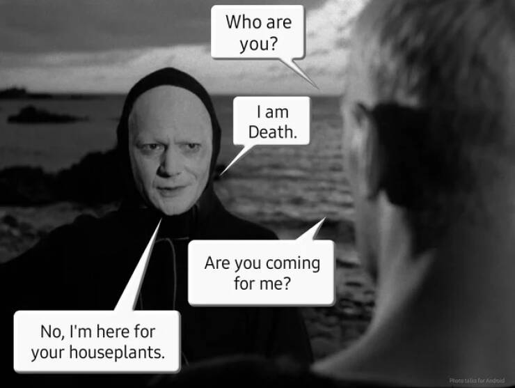 Funny Picdump