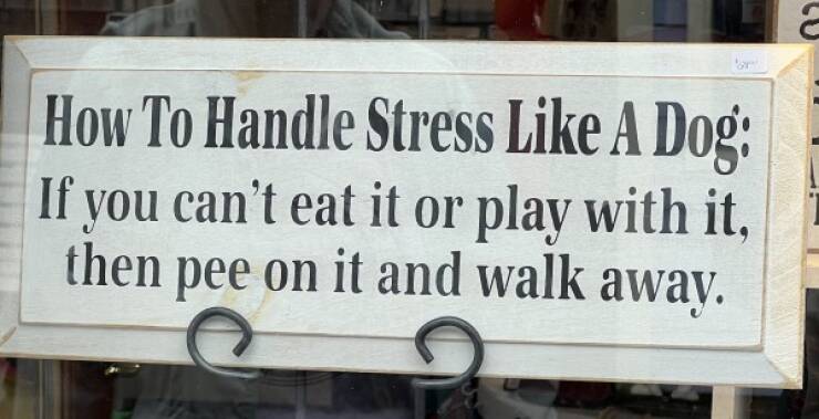 Funny Picdump