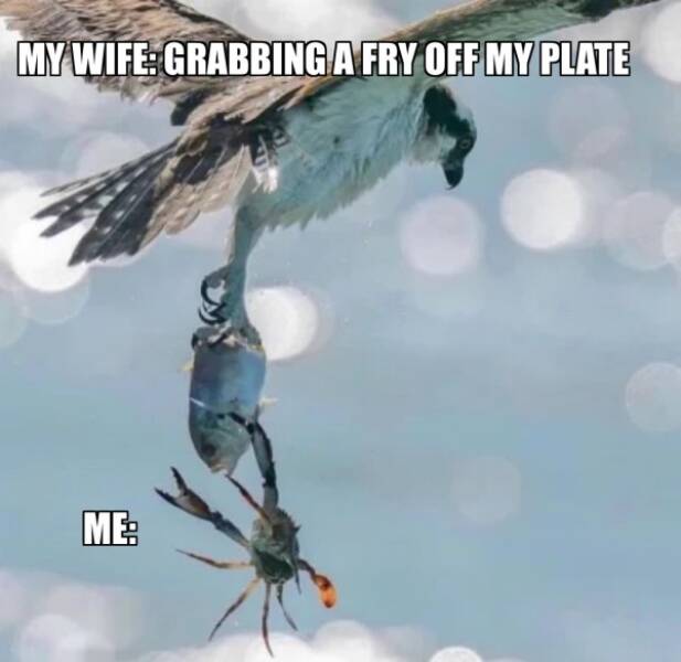 Funny Picdump