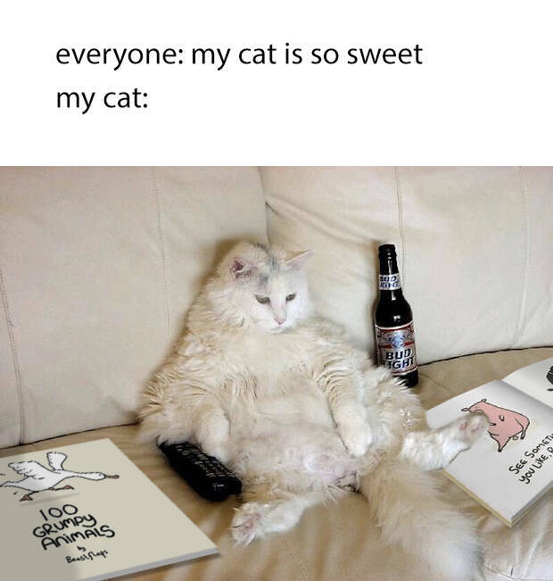 Funny Picdump