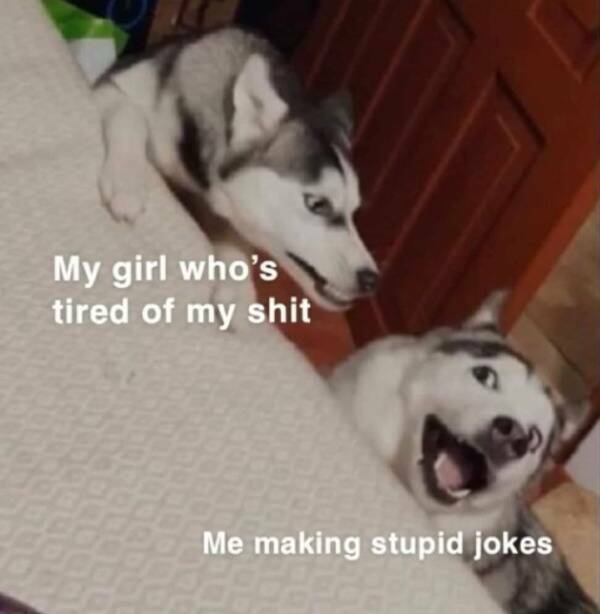 Funny Picdump