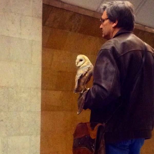 Subways Are Weird…