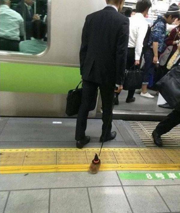 Subways Are Weird…