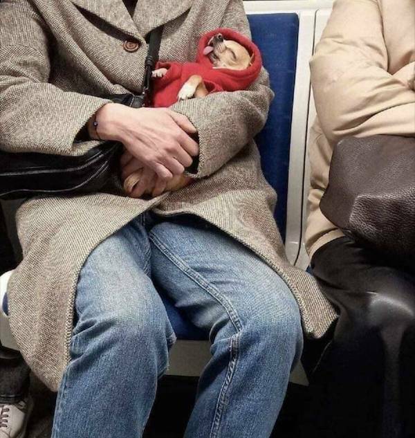 Subways Are Weird…