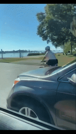 Daily Gifdump