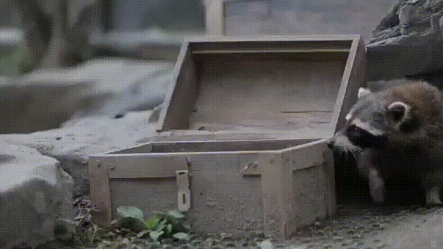Daily Gifdump
