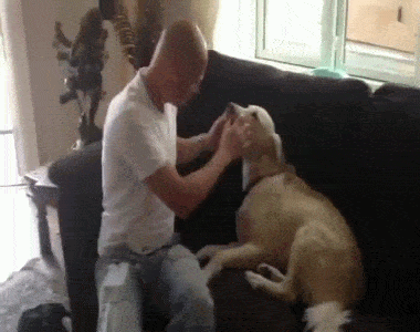 Morning Gifdump