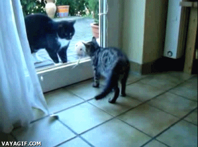 Morning Gifdump Morning Gifdump