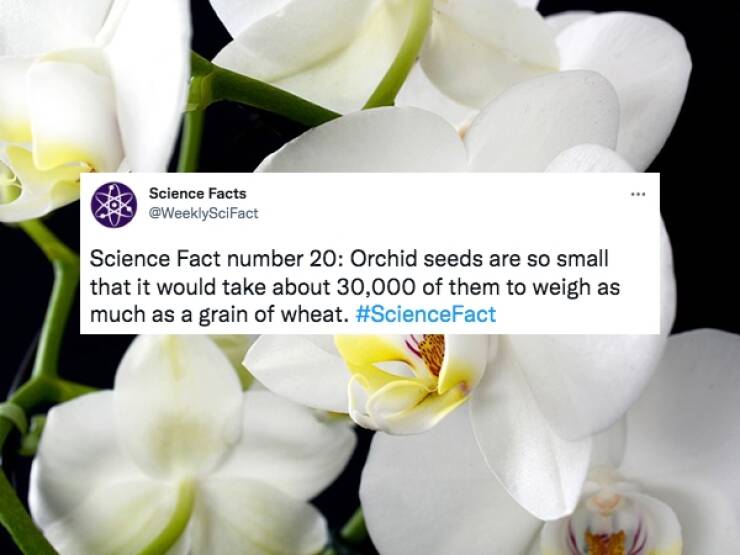 Cool Facts About Science