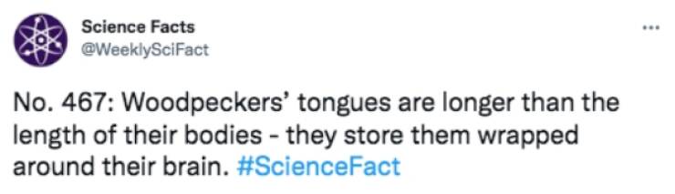 Cool Facts About Science