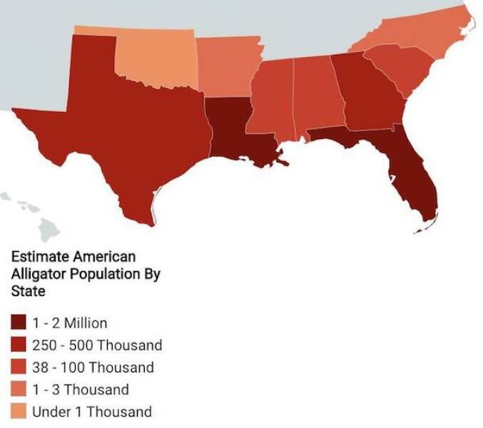 Random Charts Full Of Random Knowledge