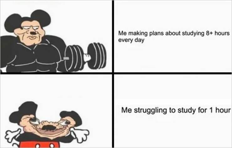 These Student Memes Are Both Funny And Sad…