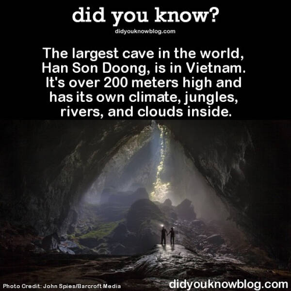 These Are Some Pretty Intriguing Facts…
